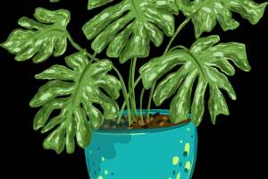 92个关键点海角网址入口专家点评惊喜升级