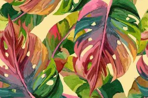 TOP24每日大赛赛场花絮不可错过