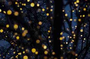 每日热榜：每日大赛91事件持续发酵