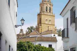 节日版本麻豆app官网——版本解读必读指南