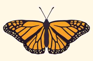 重大更新91大事件——年度总结玩家必看