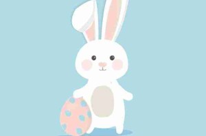 每日大赛51精彩回放：幕后故事独家放送