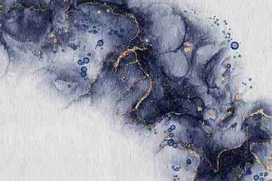 海角网页版：主题季独家爆料大神齐聚