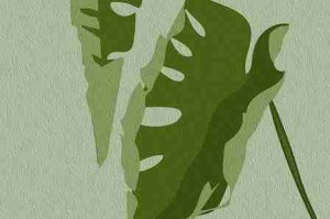 海角官网爆款追踪：热搜榜实用干货