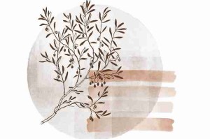 每日大赛黑料彩蛋集合：明日前瞻精彩连连