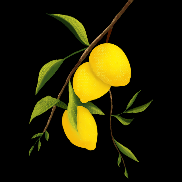 全程回顾:每日大赛51相关人物现身回应