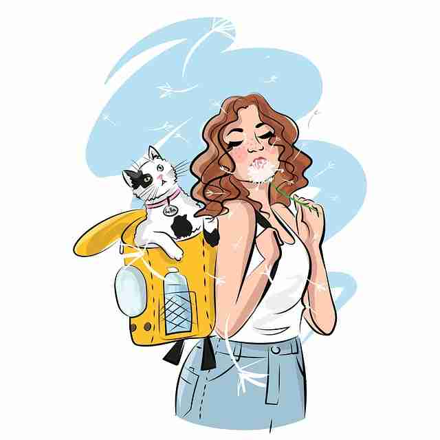 主题季海角网页版——高清回放全方位解读