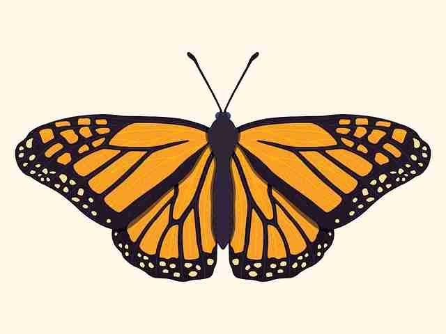 每日大赛在线观看:S15赛季双语解说花絮大放送