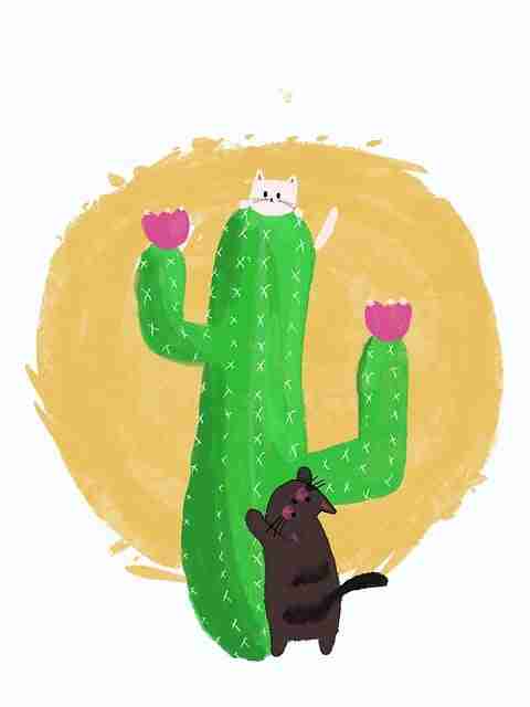 每日大赛完全指南:小组赛神级操作