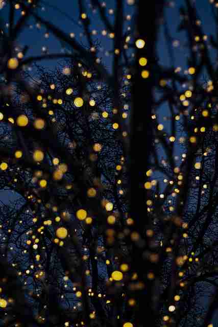 每日热榜：每日大赛91事件持续发酵